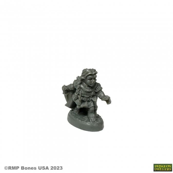 Bones USA Dungeon Dwellers Molly Copperpot, Thief (07087)
